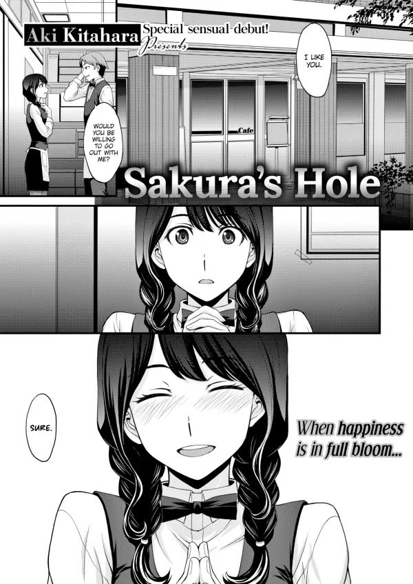 Sakura's Hole Sakura's Hole
